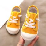 picture color [496]