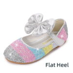 Flat Heel Silver